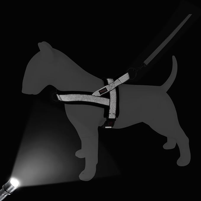 Didog No Pull Dog Harness with Breathable Mesh Padded, Full Reflective & Quick Fit Adjustable Vest Harness, Easy for Training Walking for Small & Medium and Large Dogs (Black, S:Chest 18-22")-PawvioPets