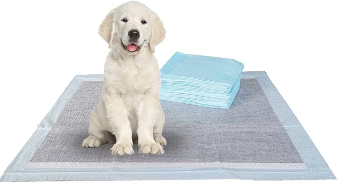 BV Charcoal Puppy Pads XL 320 Count 28"x34" - Leak-Proof Pee Pads for Dogs with 6-Layer Absorbent Design & Built-in Attractant - Dog Pad Extra Large with Charcoal for Odor Control - for Large Dogs-PawvioPets