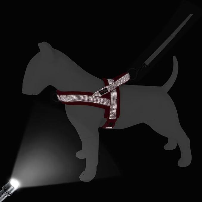 Didog No Pull Dog Harness with Breathable Mesh Padded, Full Reflective & Quick Fit Adjustable Vest Harness, Easy for Training Walking for Small & Medium and Large Dogs (Red, S:Chest 18-22")-PawvioPets