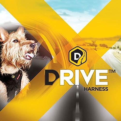 EzyDog Drive Dog Car Harness – Crash Tested and Certified (US-FMVSS 213) Dog Seat Belt Harness for Safe Travel, Adjustable with Padded Comfort (Large)-PawvioPets