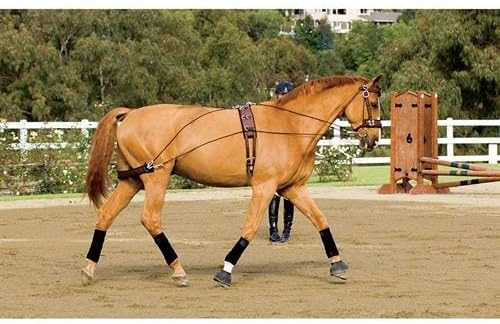 Dover Saddlery Balance Complete Training System, Color: Brown, Size: F/S-PawvioPets