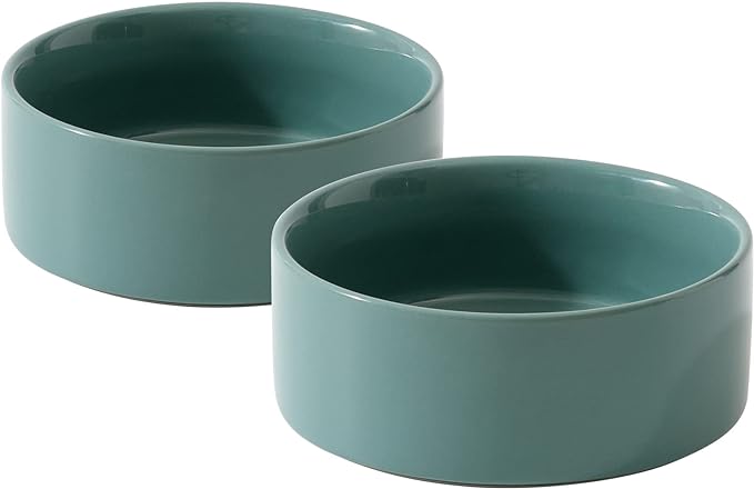 Ceramic Set of 2 Cat Bowls, Food and Water Bowls for Cats, Kitty, 2pcs Cat Dishes, Pet Feeder(5.1inch, 2 x Light Green Bowls)-PawvioPets