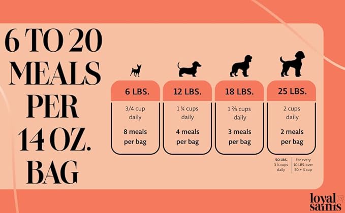 Freeze Dried Raw Dog Food - Premium Turkey and Salmon Flavor with High Protein and Grain Free Dog Food for All Breeds and Picky Eaters - Versatile as Meal Topper, Snack, and Treats, 14 Oz-PawvioPets