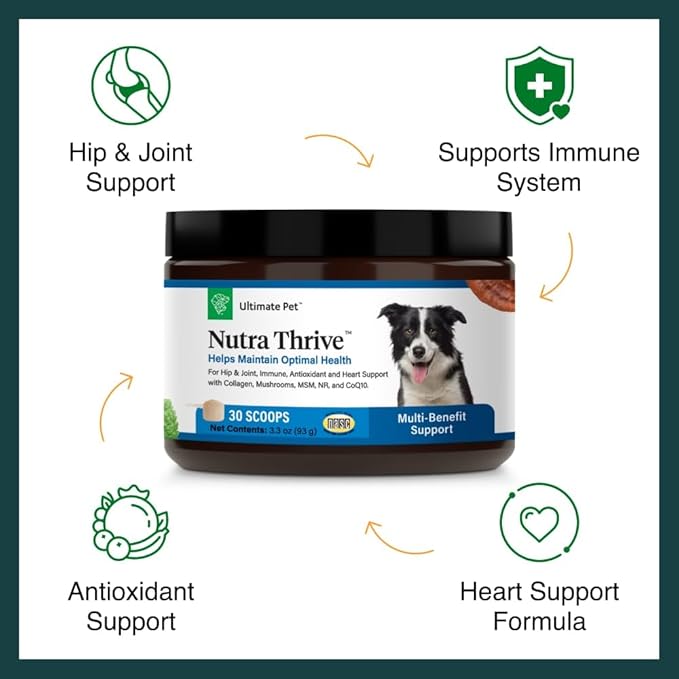 Ultimate Pet Nutrition Nutra Thrive Canine, 40-in-1 Nutritional Powder Supplement for Dogs with Digestion and Immune Support, Vitamins, Minerals, Probiotics, Enzymes, 30 Scoops-PawvioPets
