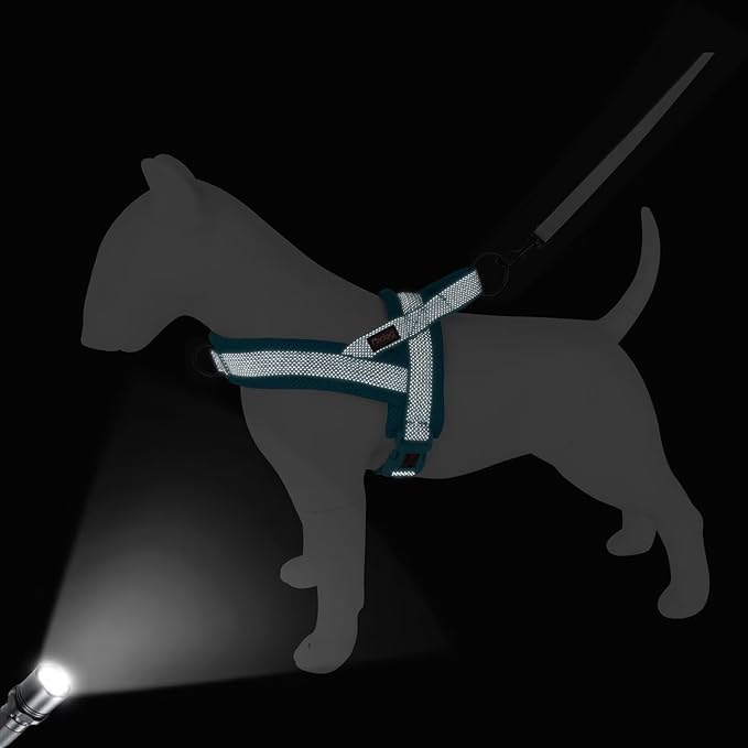 Didog No Pull Dog Harness with Breathable Mesh Padded, Full Reflective & Quick Fit Adjustable Vest Harness, Easy for Training Walking for Small & Medium and Large Dogs (Blue, L:Chest 26-32")-PawvioPets