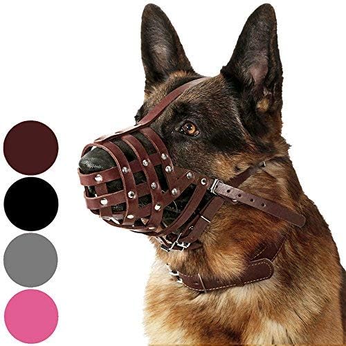CollarDirect Dog Muzzle German Shepherd Dalmatian Doberman Setter Leather Basket Medium Large Breeds (Chestnut Brown, Large)-PawvioPets