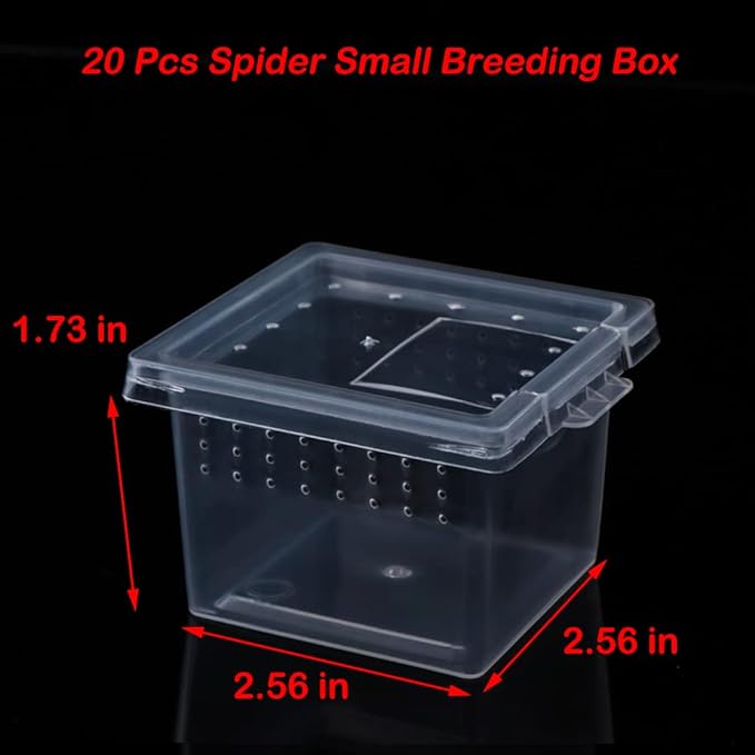 20 Pcs Spider Terrariums Breeding Box Hatching Container Acrylic Feeding Box for Small Reptile Scorpion Centipede Insect (Small Size)-PawvioPets