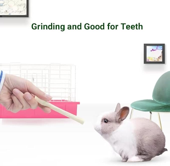 300g Snacks Sweet Bamboo Chew Toy for Rabbits Chew Sticks for Hamster Chinchilla Guinea Pig,Molar Treats Snack for Small Animals-PawvioPets