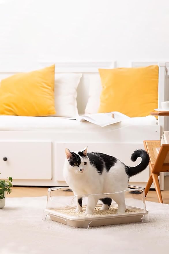 Disposable Small Litter Boxes for Cats, Litter Box for Recovery, Kitten Travel Tray, Shallow, Low-Entry Litterbox for Senior Cats (5-Pack)-PawvioPets