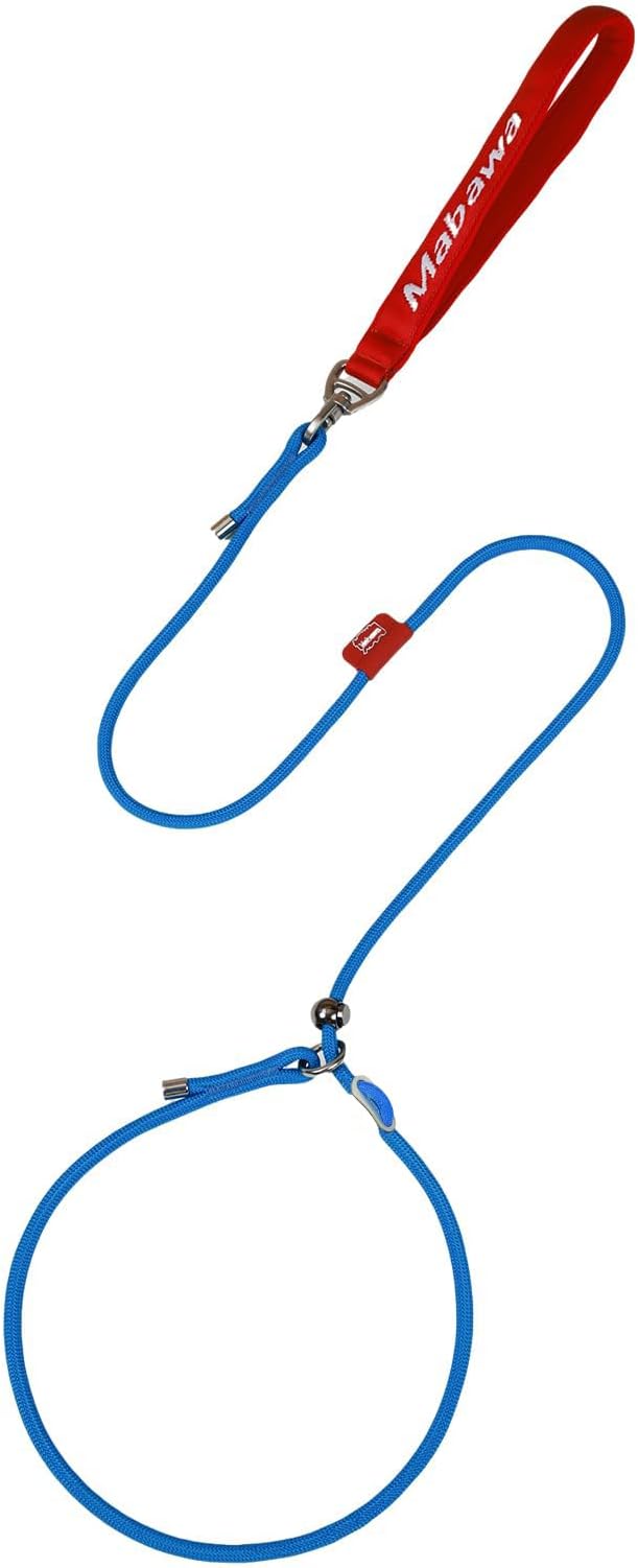 Dog Anti-Slip Leash 5FT with Metal Stopper - Durable No-Pull Training Lead for Small, Medium & Large Dogs - Comfortable Handle Nylon Rope, Tangle-Free Pet Walking Leash (Blue, 5 FT)-PawvioPets