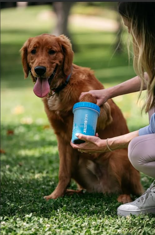 Dexas MudBuster Portable Dog Paw Cleaner, Medium, Blue - Premium Quality Pet Supplies and Accessories-PawvioPets