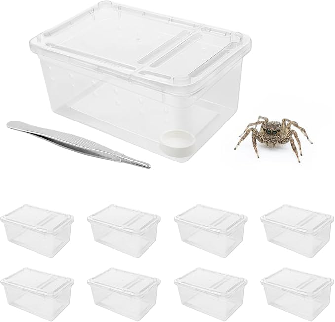 8 PCS Reptile Terrarium Plastic Clear Enclosure Portable Reptile Transport Box for Snakes, Frogs, Lizards, Insects, Scorpions, Geckos, Spiders Perfect Reptile Enclosure.-PawvioPets