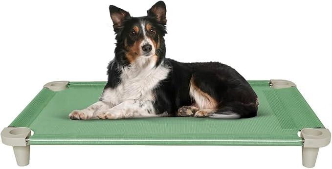 Acrimet Cooling Elevated Pet Dog Bed, Washable and Breathable Mesh Cot, Stainless Steel Frame, Indoor & Outdoor Use, fits Dogs up to 110 lbs (Size: 40” x 24”), Green, 1 Unit-PawvioPets