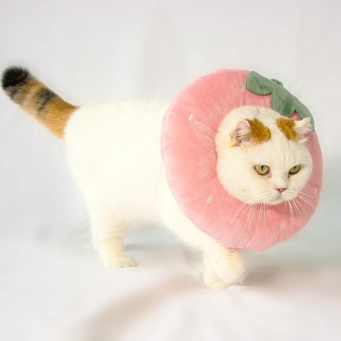 Adjustable Cat Recovery Collar Soft,Cute Pet E-Collar Neck Cone After Surgery Wound Healing Protective Cone Fit for Kitties, Small Dogs(ELC05-strawberry-l)-PawvioPets