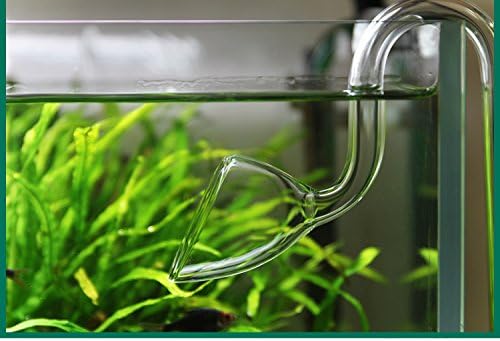 Glass Lily Pipe Outflow for Aquarium Planted Tank (20mm for 19/25mm (3/4" ID) tubing)-PawvioPets