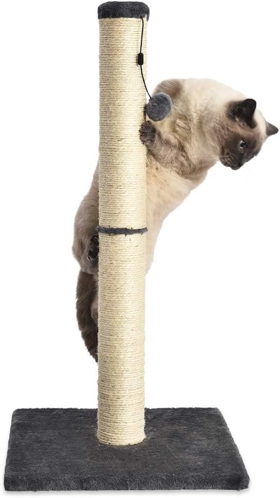 Amazon Basics Cat Scratcher - Indoor Classic Single Cat & Kittens Scratching Post, Medium (31.5"H) - Grey-PawvioPets