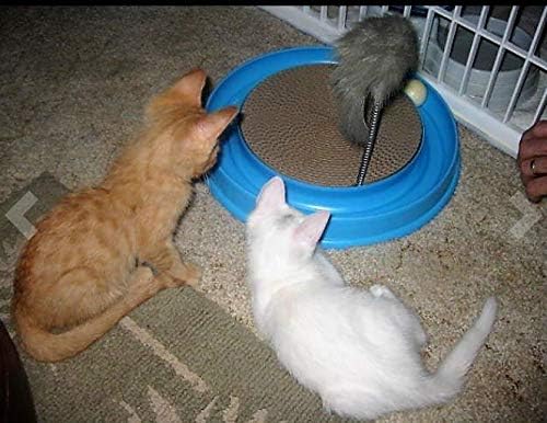 AUOON Cat Scratcher Toy - Cat Scratch Pad with Cat Toy Ball Track and Plush Mouse Toy for Indoor Cats and Kittens (Blue)-PawvioPets