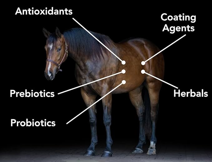 Gastro-Plex (6 lb) Supports Gut Health and Hindgut Digestion in Horses-PawvioPets