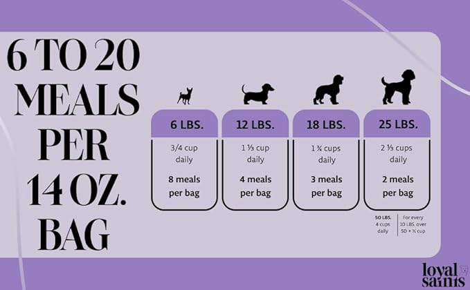 Freeze Dried Raw Dog Food - Premium Chicken Flavor with High Protein & Grain Free Dog Food for Small or Large Breeds and Picky Eaters - Versatile as Meal Topper, Pet Snack & Treats, 14 Oz-PawvioPets