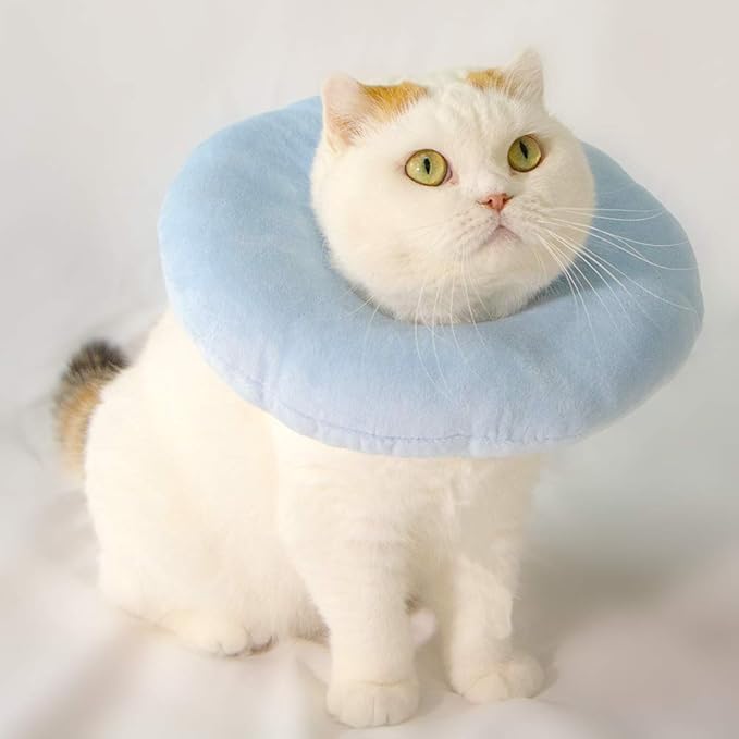 Adjustable Cat Recovery Collar Soft,Cute Pet E-Collar Neck Cone After Surgery Wound Healing Protective Cone Fit for Kitties, Small Dogs(ELC05-whale-m)-PawvioPets