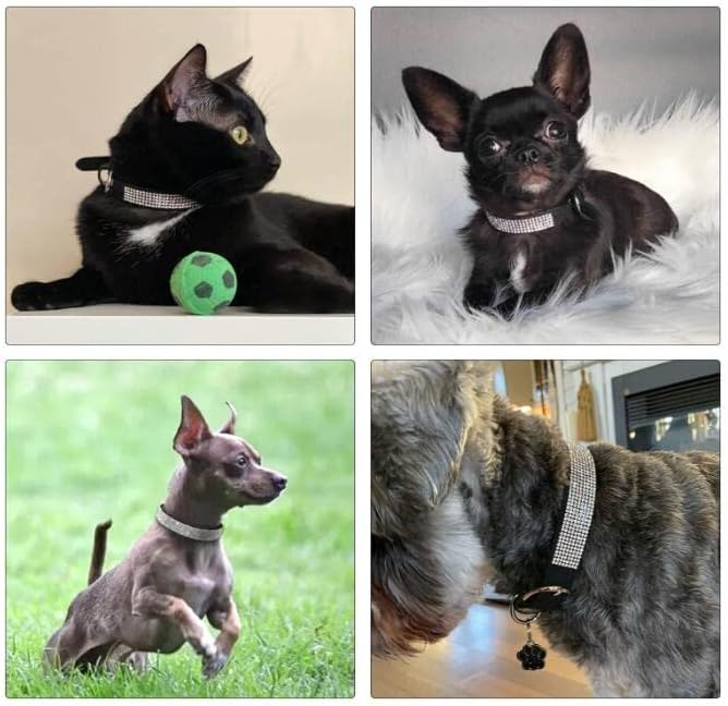 Dog Collar for Medium Dogs Female, Bling Diamond Fancy Crystal Glitter Pretty Jewel Rhinestone Puppy Dog Collars for Small Medium Large Breed Pet Girl Dogs Cats Kitten, Pink M Size-PawvioPets