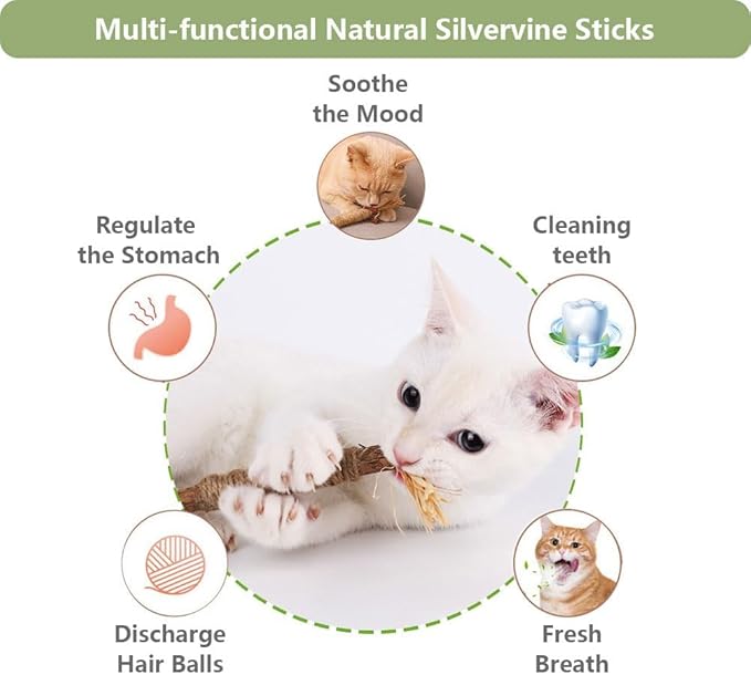6 PCS Silvervine Sticks for Cats - Natural Cat Chew Toys for Teeth Cleaning, Kitten Teething & Aggressive Chewers-PawvioPets