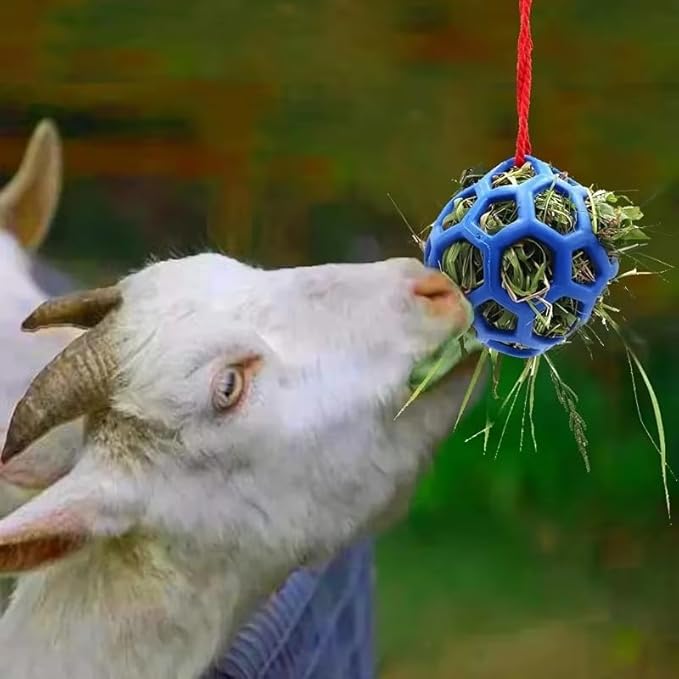 3PCS Hay Feeder Ball Toy for Horses, Goats & Livestock – Rainbow Colors with Hanging Red Cord, Stress Relief & Boredom Prevention (Green, Blue, Red)-PawvioPets