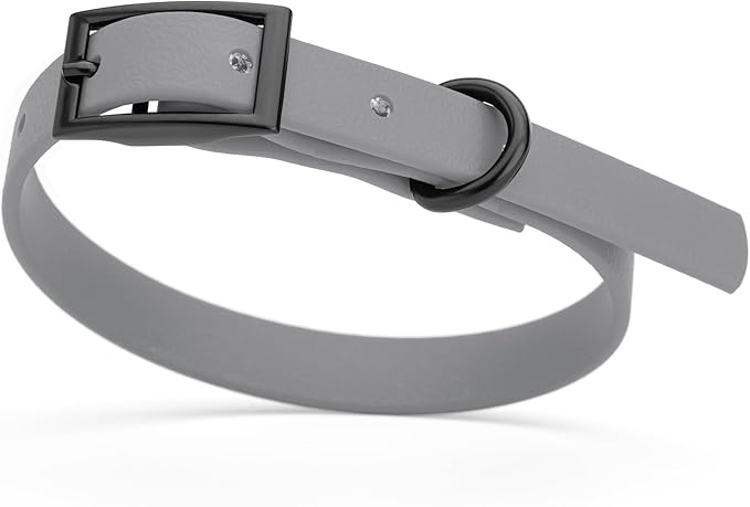 Dogline Biothane Waterproof Dog Collar Strong Coated Nylon Webbing with Black Hardware Odor- Proof for Easy Care Easy to Clean High Performance Fits Small Medium or Large Dogs, Battleship Gray-PawvioPets