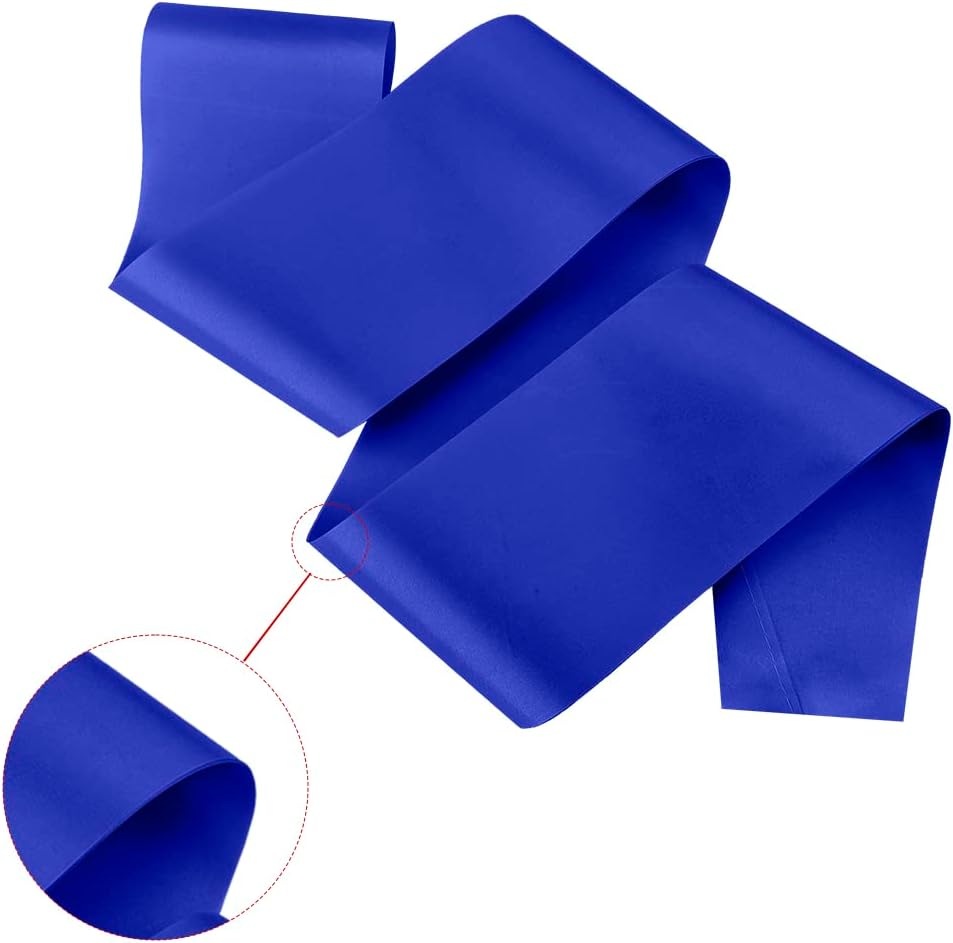 8 Pcs Satin Sash Set - Royal Blue, Bride To Be, Plain, DIY Sashes for Pageants, Graduation, Hen Party, Homecoming, Customizable