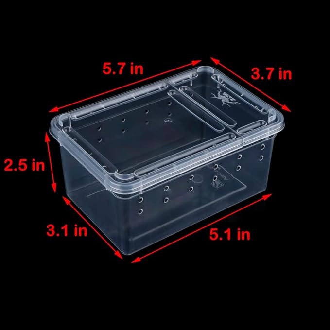 5 Pcs Spider Small Terrariums Breeding Box Transparent Hatching Container Plastic Feeding Box for Small Reptile Spider Scorpion Centipede Insect-PawvioPets
