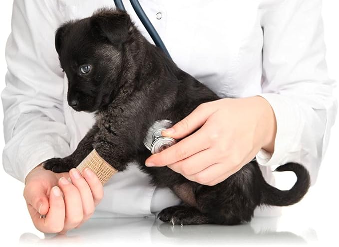 24 Pack Brown Breathable Self Adhesive Bandage Wrap 2 in, Multi-Purpose Non-Woven Cohesive Wrap - Vet Wrap | Athletic Tape | Medical Tape, Ankle Sprains, Swelling, Pets.-PawvioPets