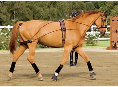 Dover Saddlery Balance Complete Training System, Color: Brown, Size: F/S-PawvioPets