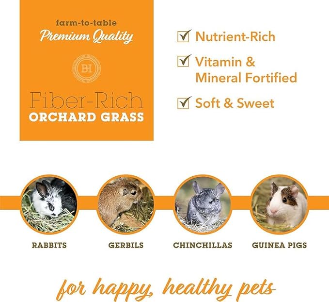 Bunny Honey Orchard Grass Hay for Guinea Pigs, Rabbits, Hamsters & Small Pets Fresh, High-Fiber, Supports Digestive Health & Dental Care, Non-Blended & Fresh Cut-PawvioPets