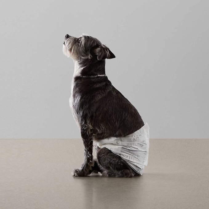 Amazon Basics Absorbent, Leakproof Male Dog Wrap Disposable Diapers, Small, Pack of 50, White-PawvioPets