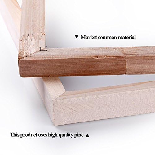 Fantasy Angel Stretched Canvas Wall Art for Living Room Bedroom Home Decoration,Abstract Anime Picture Print Painting Decor Artwork,Mysterious Wing Man Gallery Wrapped Gift,Inner Frame (20x30 Inches)-PawvioPets