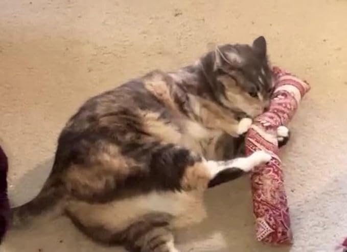 15" Catnip Cat Kicker Toys/Kitty Kick Sticks/Cat-Nip Kick Sticks (Ruby Red) (Kickers Filled with 1 oz Premium Canadian Catnip)-PawvioPets