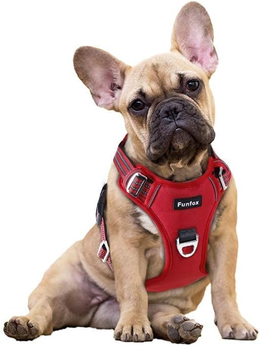 Funfox Dog Harness No Pull, Adjustable Pet Vest Harness, Super Soft Material with Vertical Handle Easy Control, Reflective Night Walking, 2 Leash Clips for Small Sized Dogs, Red, S-PawvioPets