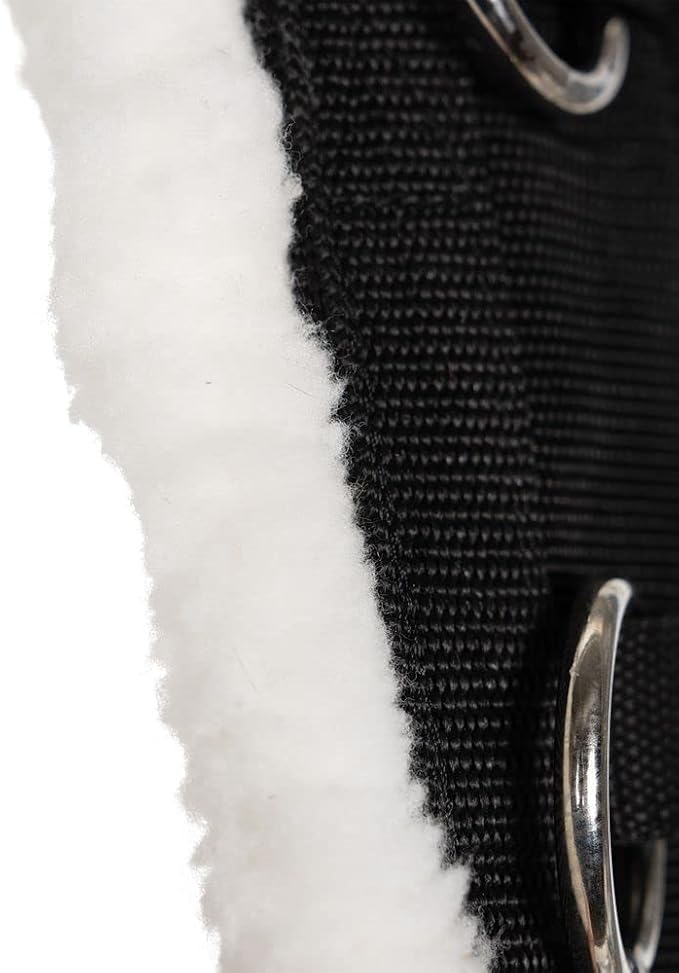 Dura-Tech Fleece Lined Training Surcingle for Horses | Essential for Lunging Work | Comfortable Fleece Lining | Durable Poly Material | Versatile D-Ring Placement | Suitable for All Training Levels-PawvioPets