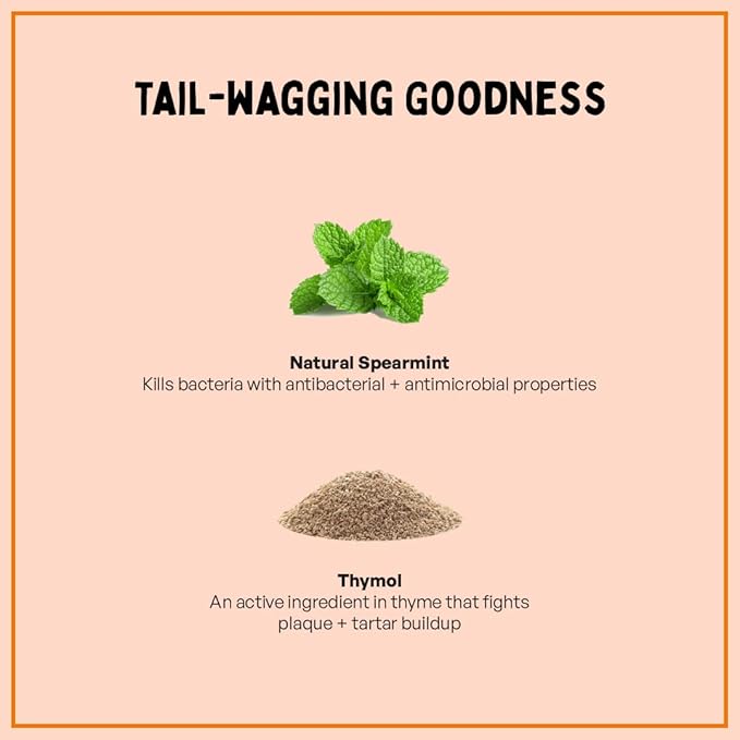 Fresh Breath Oral Strips for Dogs & Cats | Natural Spearmint & Thymol for Easy and Convenient, All-Natural Oral Care (30 Oral Dissolving Strips)-PawvioPets