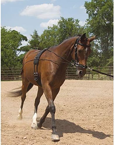 Dover Saddlery Balance Complete Training System, Color: Brown, Size: F/S-PawvioPets