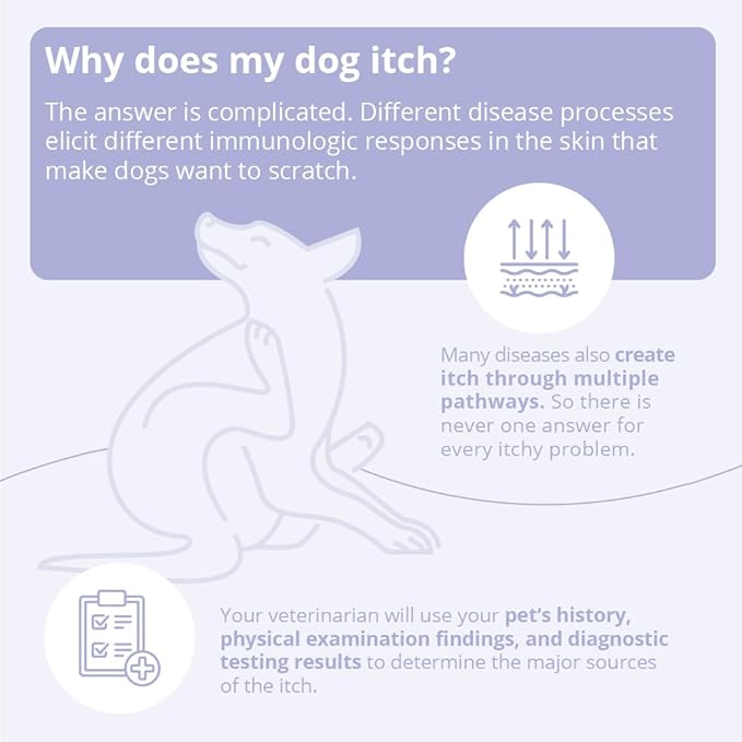 4 Spray Conditioner for Dogs, Cats and Horses, 8 oz-PawvioPets