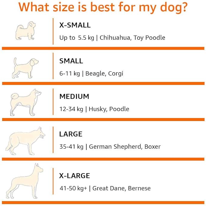 Amazon Basics Cooling Breathable Elevated Dog Bed with Metal Frame for Small Dogs, 36 x 22 x 7.5 Inch, Green-PawvioPets