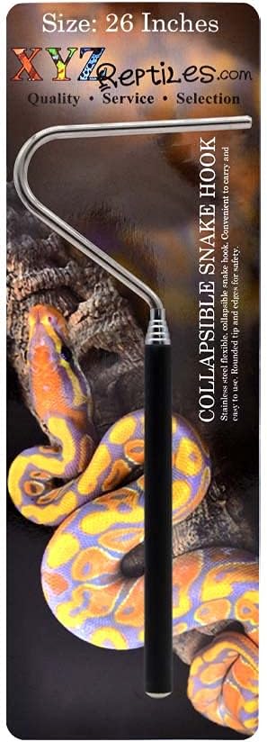 Boa Constrictor Habitat 10 Gallon Terrarium Kit-PawvioPets