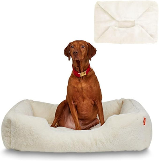 FUZI Luxury Aesthetic Dog Bed with Extra Cover for Medium Dogs, Washable Pet Couch, Pet Bed with Sides, Non-Slip Bottom, Soft & Durable Calming Dog Bed, Faux Fur, Medium 31.75x23.6x9.5 Soft White-PawvioPets