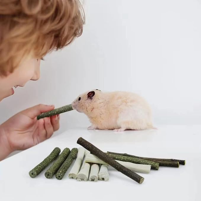 300g Guinea Pig & Rabbit Chew Toys with Apple & Timothy Sticks - Prevent Overgrown Teeth with Sweet Bamboo Treats - Ideal Rabbit Treats Included!-PawvioPets