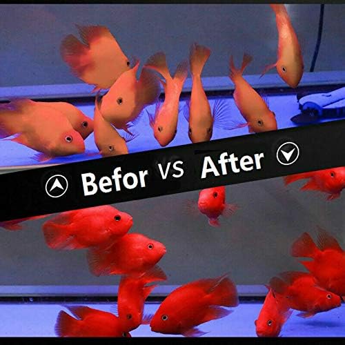 1kg Parrot Pellets Food Color-Enhancing Red Parrot Cichlid Fish Feed Food (1 kg Parrot Fish Pellets)-PawvioPets