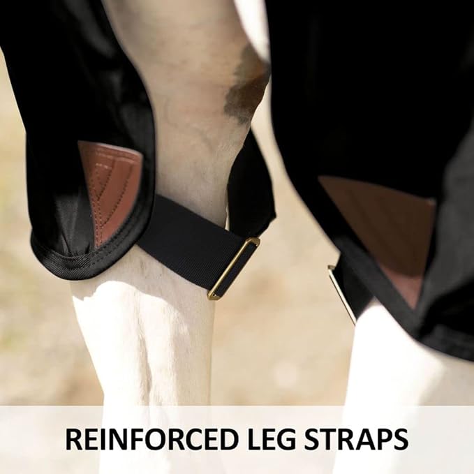 Dura-Nylon Horse Stable Sheet | Ultimate Comfort & Protection Horse Sheet | Keeps Coats Smooth & Shiny-PawvioPets