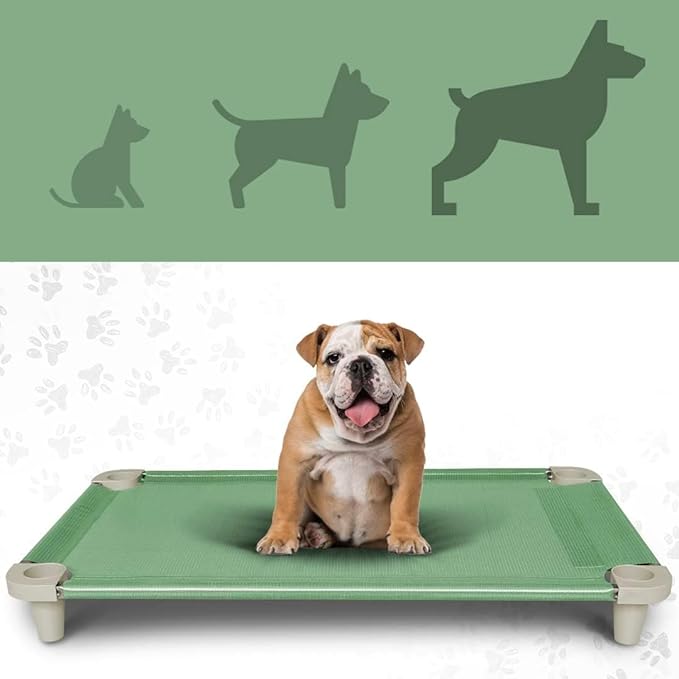 Acrimet Cooling Elevated Pet Dog Bed, Washable and Breathable Mesh Cot, Stainless Steel Frame, Indoor & Outdoor Use, fits Dogs up to 110 lbs (Size: 40” x 24”), Green, 1 Unit-PawvioPets