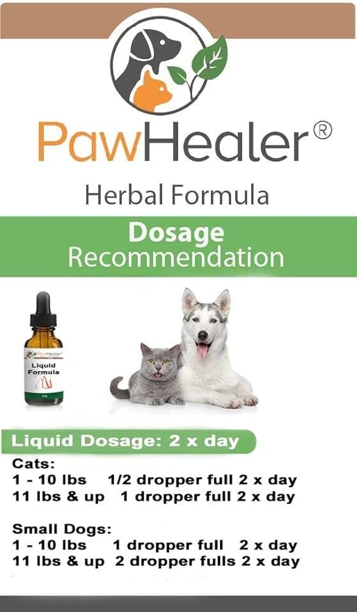 Cat & Small Dogs - Bladder Remedy for Stones & Crystals: 2 fl oz (59 ml) - Urinary Free The Flow - Basic - Made in USA - Works Great for Over 15 Years in The Herbal Business. …-PawvioPets