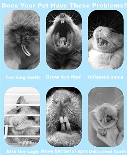 150g 3 Types of Combined Chew Toys Molar Sticks Sweet Bamboo Apple Branch Timothy Grass for Pets Chinchilla Squirrel Gerbil Hamster Squirrel Guinea Pigs-PawvioPets